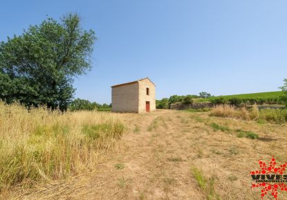 vente Mazet Saint Thibery