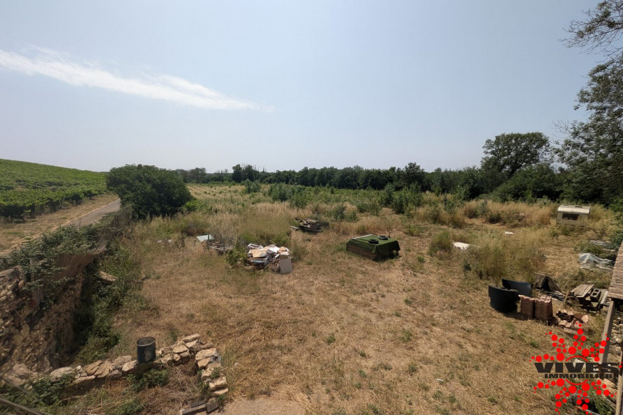 vente Mazet Saint Thibery - Photo 2