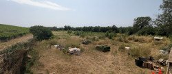 vente Mazet Saint Thibery