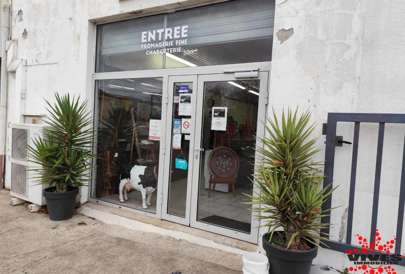 vente Fromagerie crèmerie Villeneuve Les Beziers - Photo 3