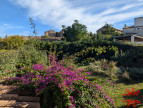vente Maison Puissalicon
