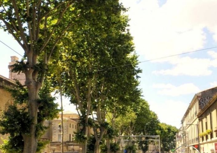 à vendre Appartement Montpellier