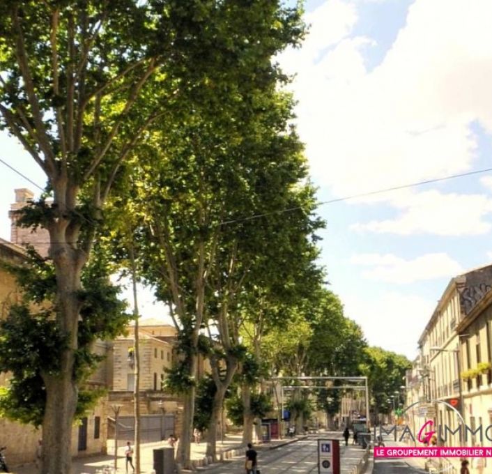 vente Appartement Montpellier