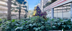 vente Appartement Castelnau Le Lez