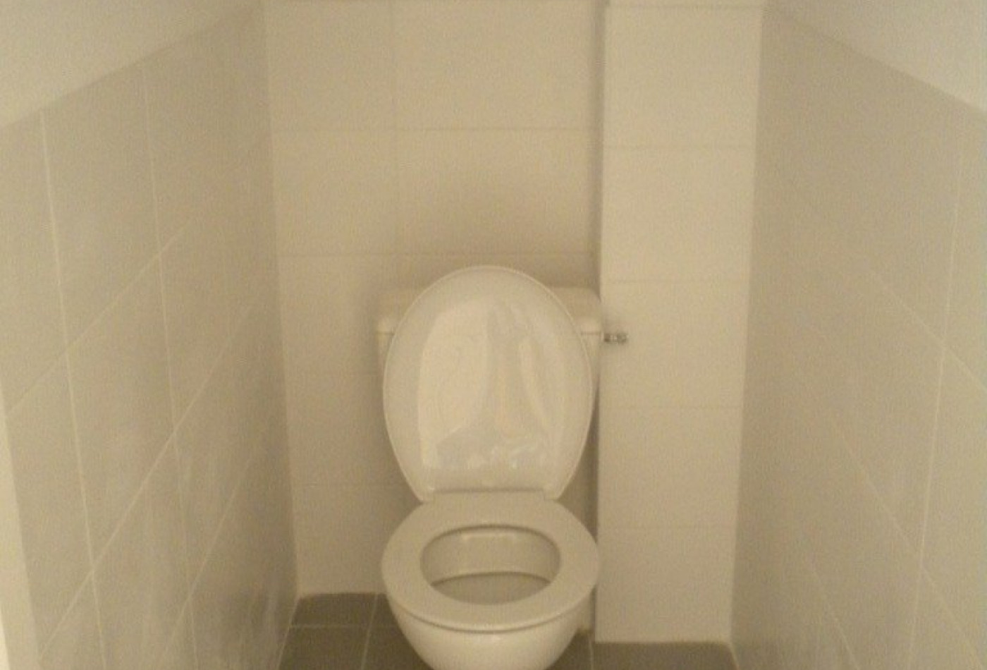 location Appartement Saint Pargoire - Photo 7