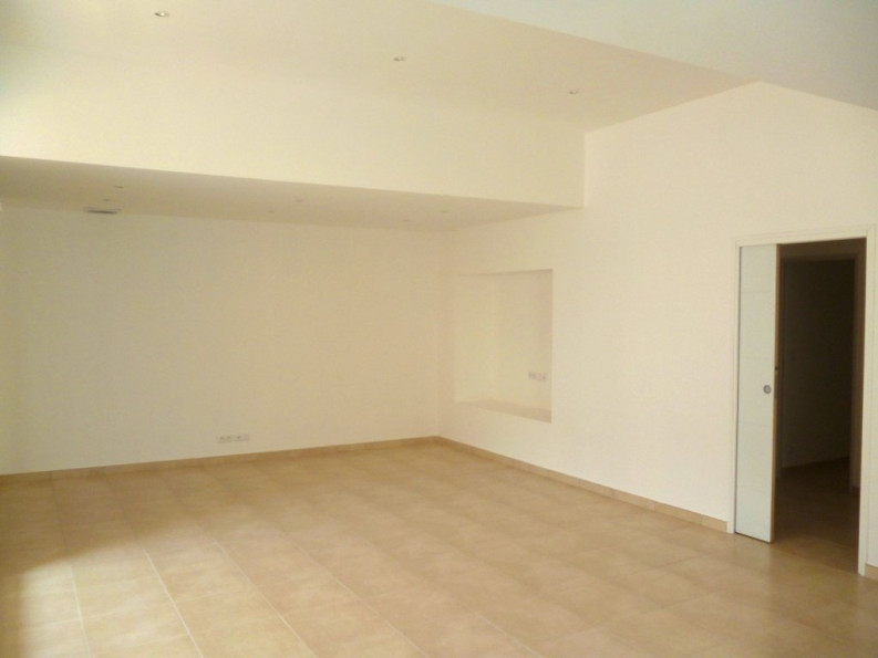 location Appartement Saint Pons De Mauchiens - Photo 4