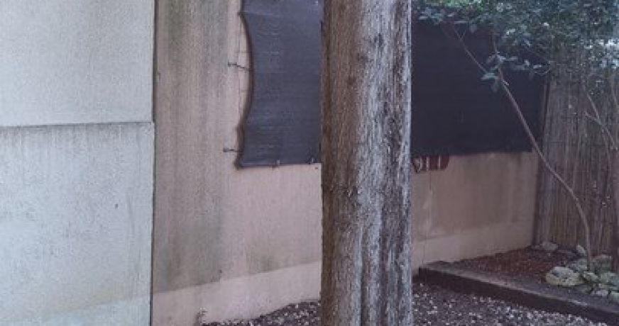 location Appartement Montpellier