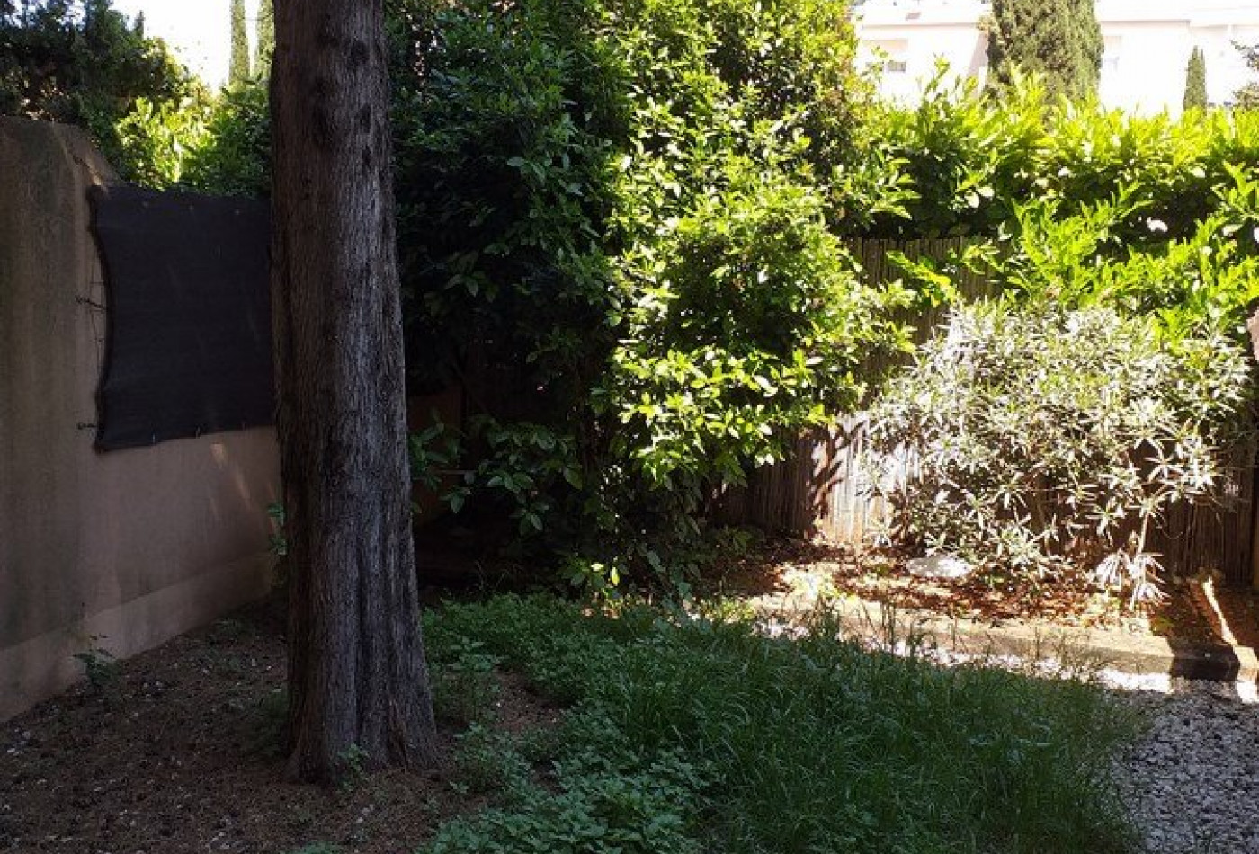 location Appartement Montpellier - Photo 6