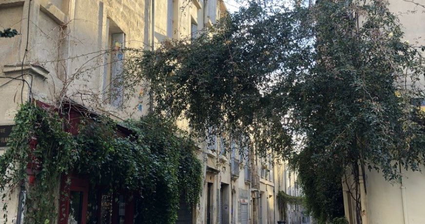 location Appartement Montpellier