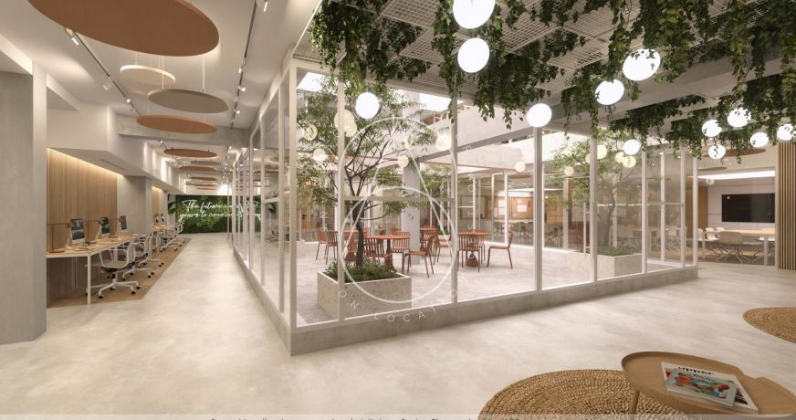 location Local commercial Montpellier