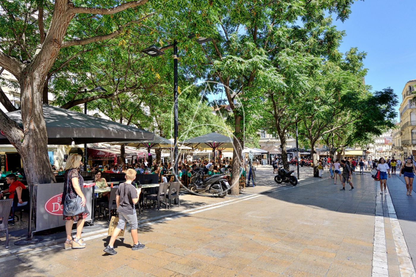 à vendre Local commercial Montpellier - Photo 1