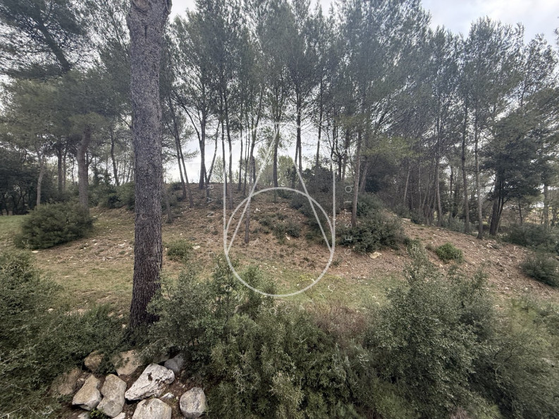 location Appartement Saint Gely Du Fesc - Photo 6