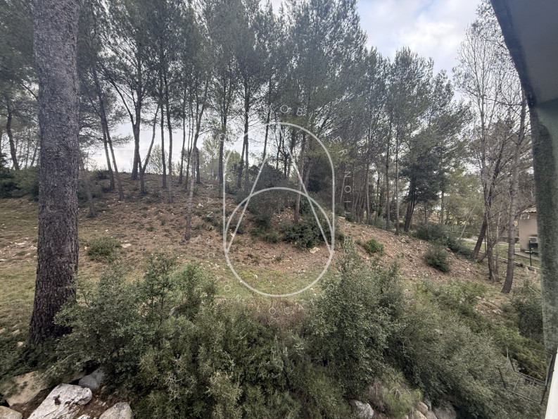 location Appartement Saint Gely Du Fesc - Photo 7