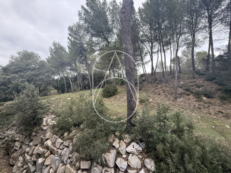 location Appartement Saint Gely Du Fesc - Photo 8