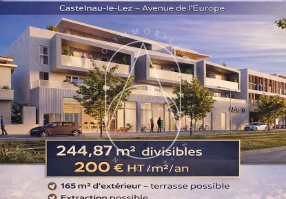 location Local commercial Castelnau Le Lez