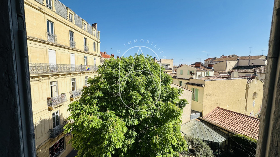 location Appartement Montpellier - Photo 6