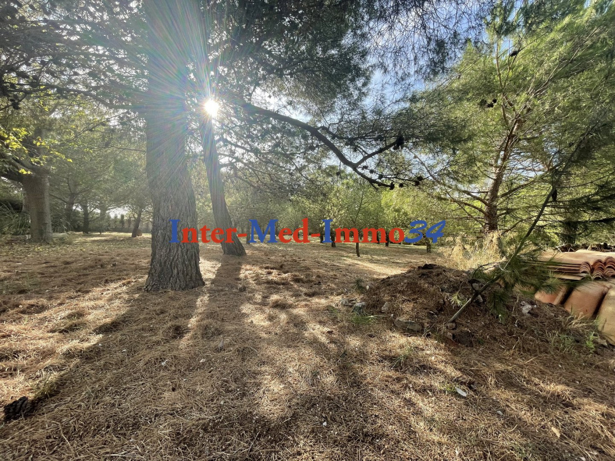 vente Villa Marseillan - Photo 3