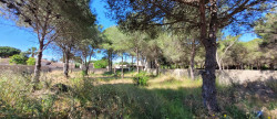 vente Terrain constructible Agde