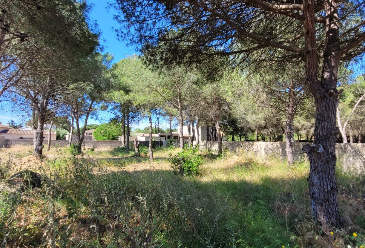 vente Terrain constructible Agde - Photo 1