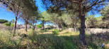 vente Terrain constructible Agde