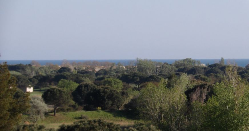 vente Appartement Agde