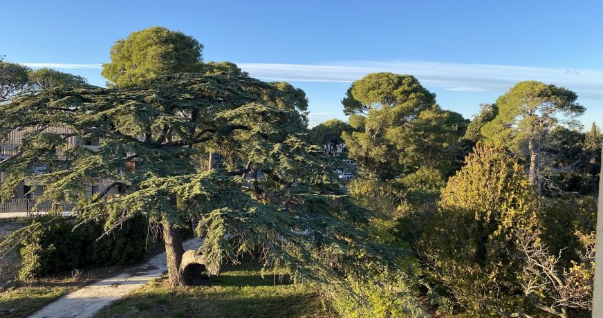 vente Appartement Agde