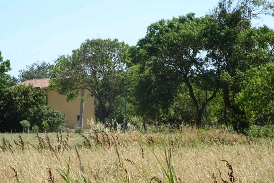 vente Maison Vias - Photo 6