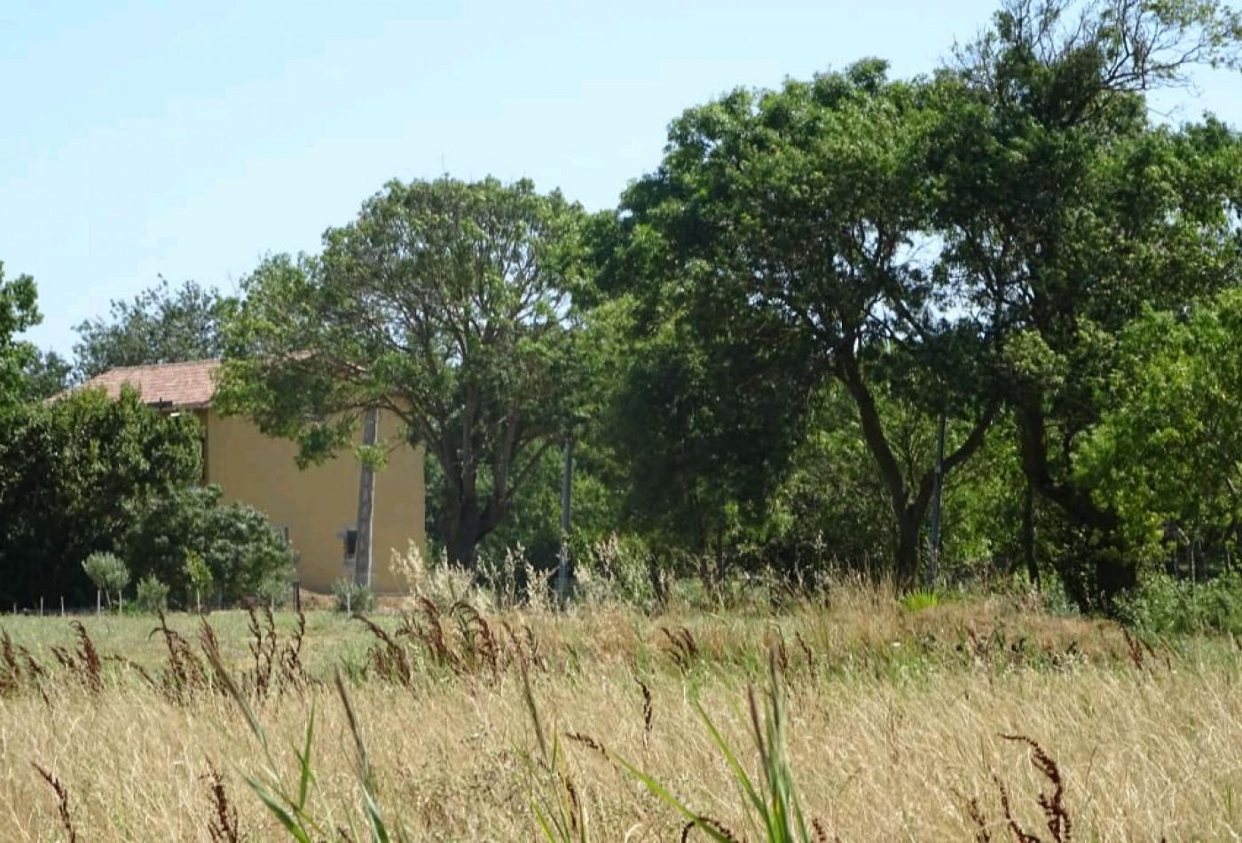 vente Maison Vias - Photo 6