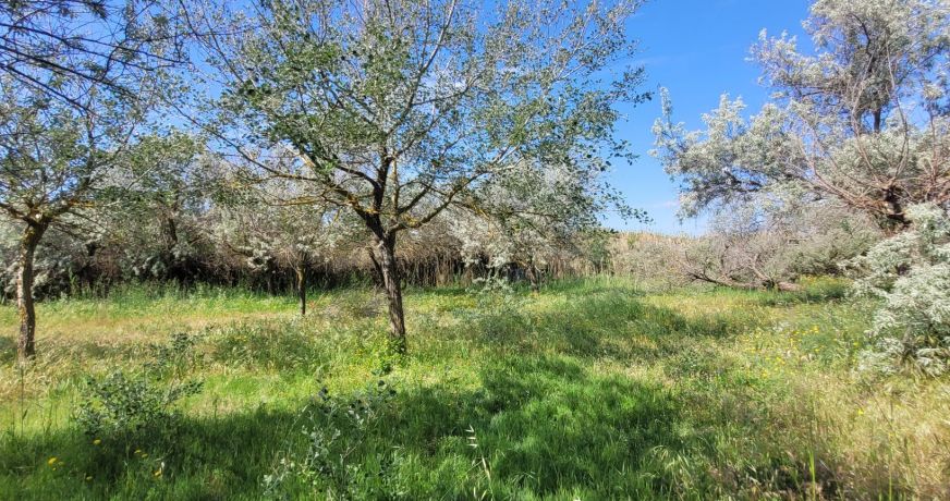 sale Villa Marseillan