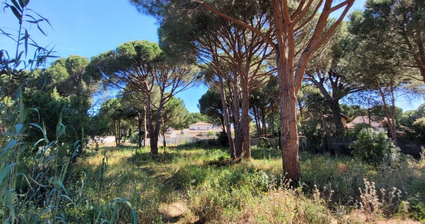vente Terrain constructible Le Grau D'agde