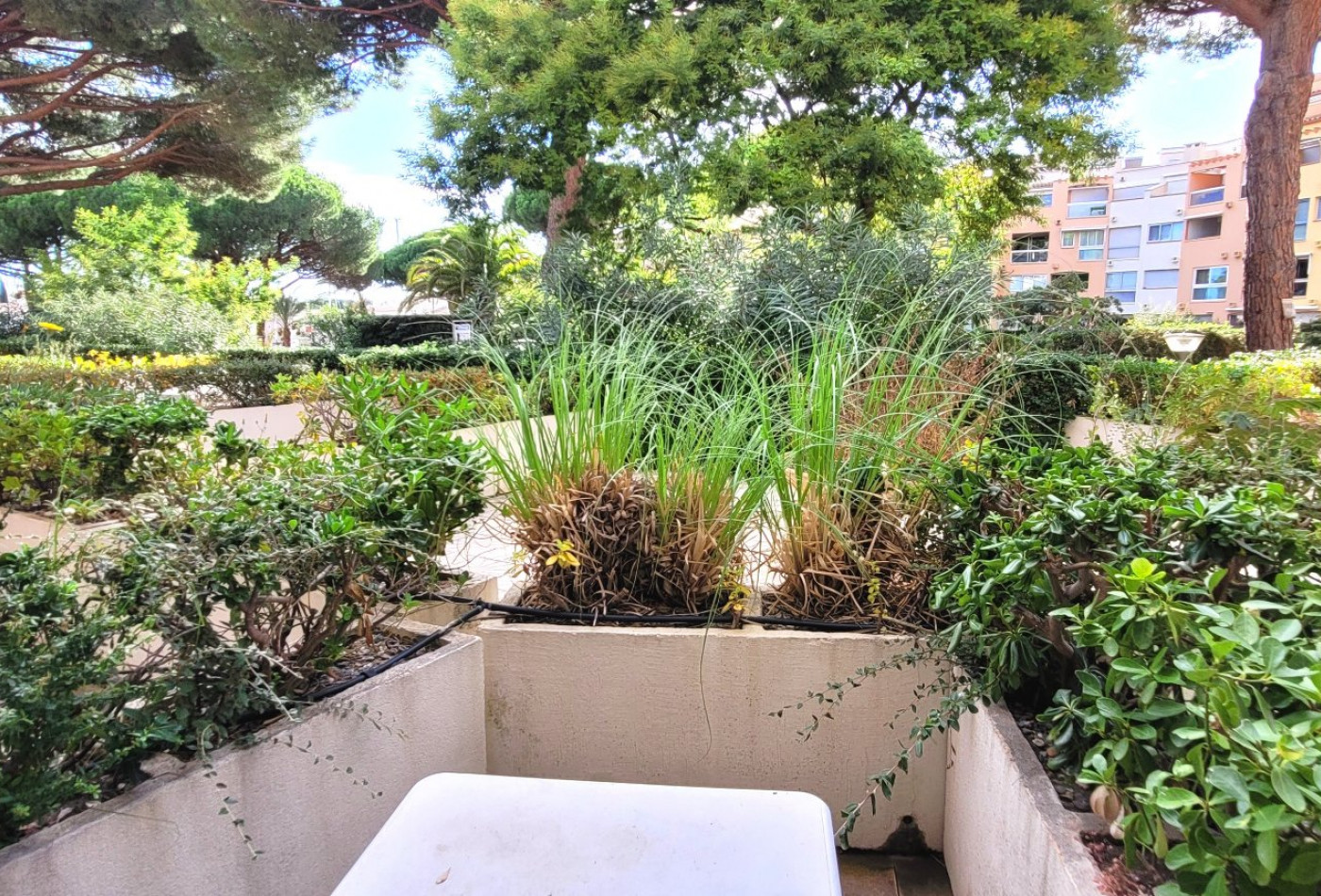 vente Appartement Le Cap D'agde - Photo 6