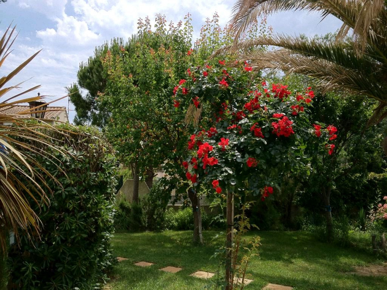 à vendre Villa Le Grau D'agde - Photo 2