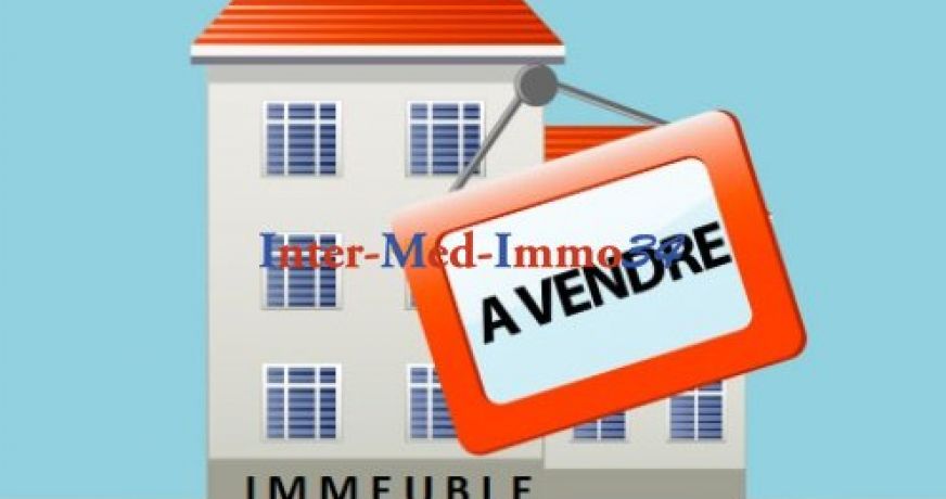 vente Immeuble mixte Agde