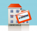 vente Immeuble mixte Agde