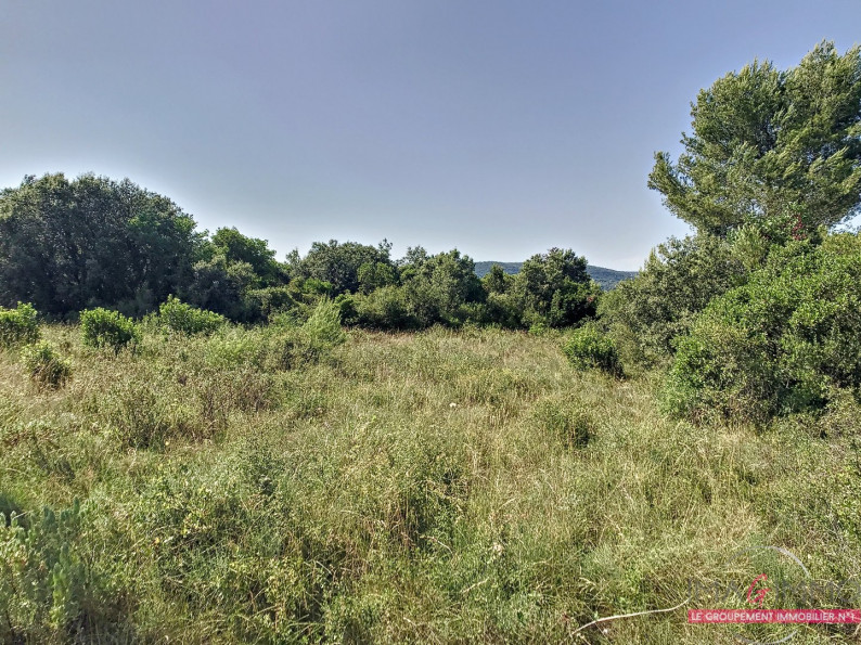 à vendre Terrain non constructible Vailhauques - Photo 2