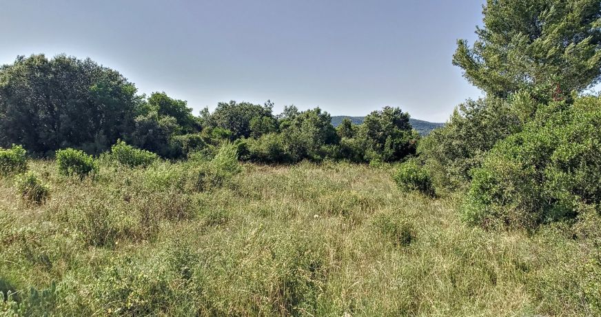 vente Terrain non constructible Vailhauques