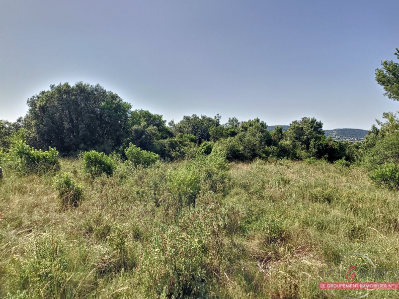 à vendre Terrain non constructible Vailhauques - Photo 1