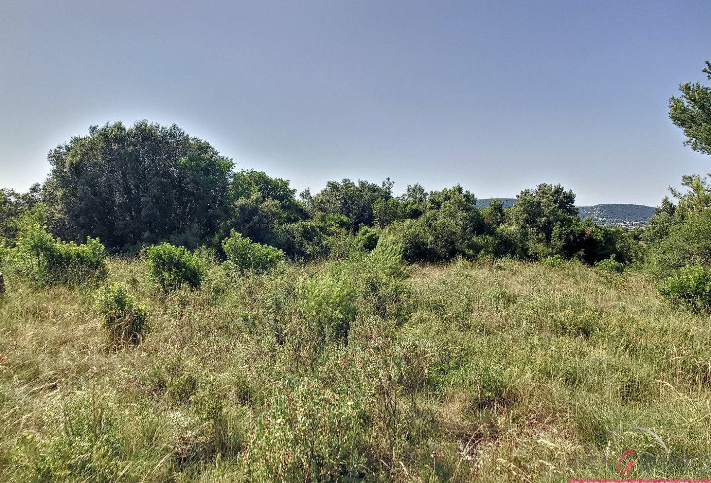 à vendre Terrain non constructible Vailhauques - Photo 1