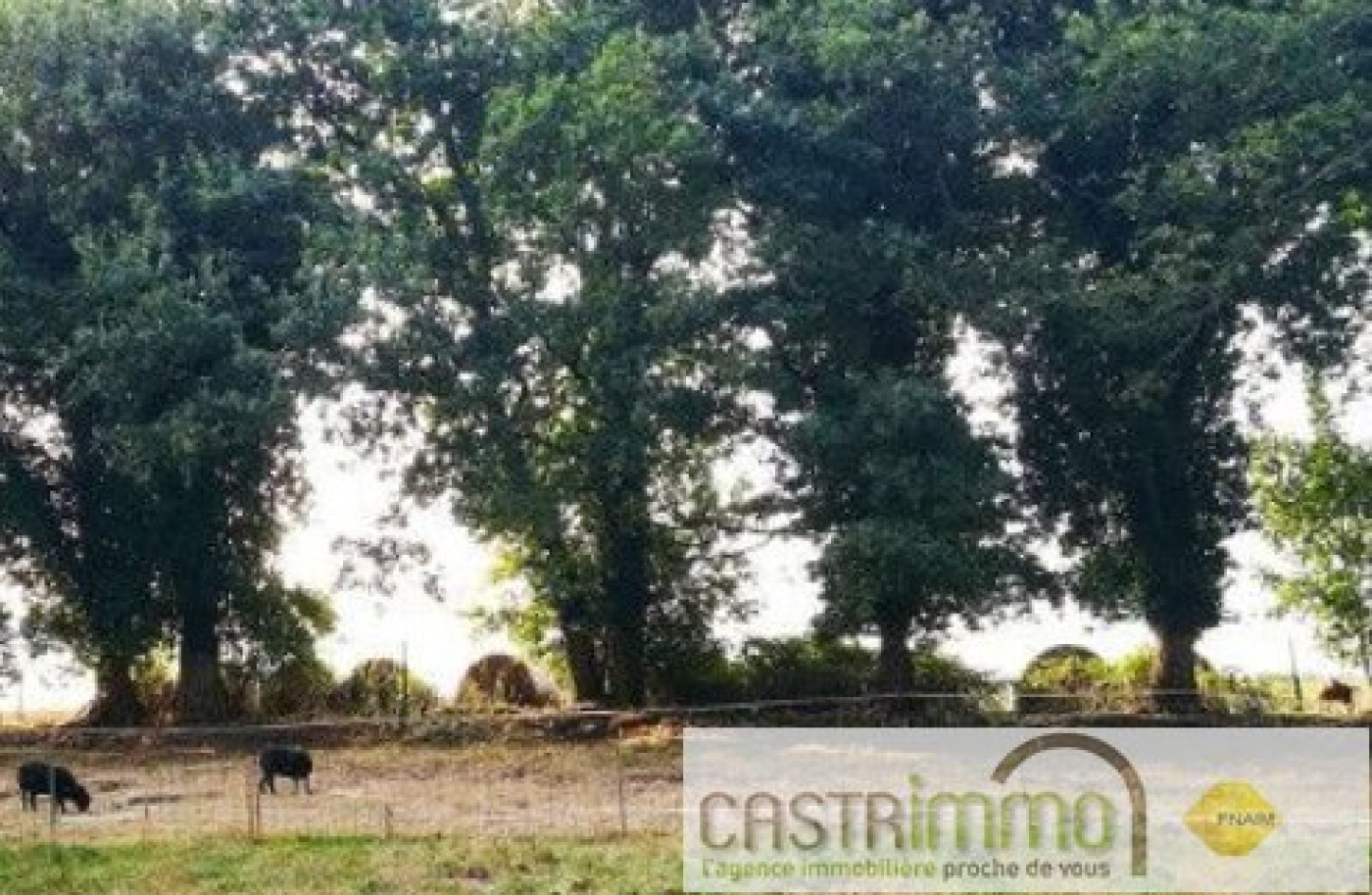 vente Terrain constructible Saint Bres - Photo 5