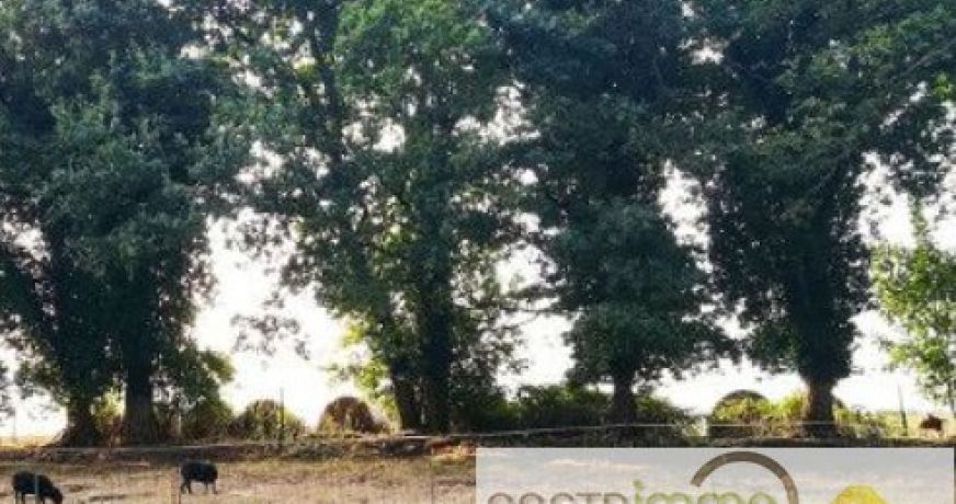 vente Terrain constructible Saint Bres