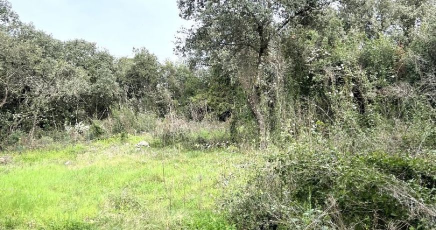 vente Terrain constructible Saint Bres