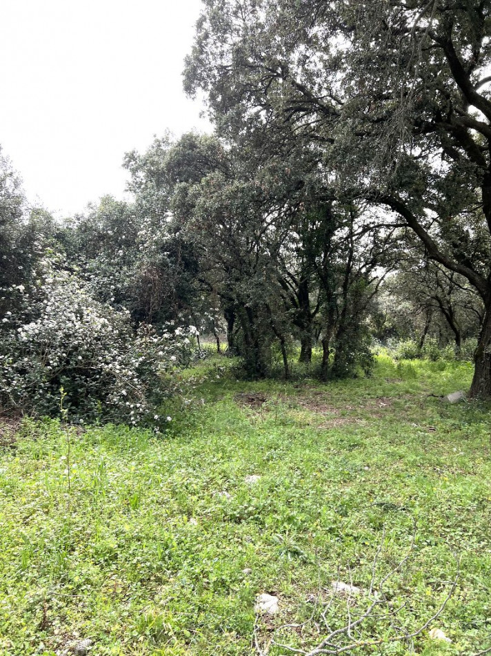 vente Terrain constructible Saint Bres - Photo 1