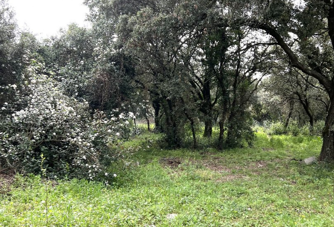 vente Terrain constructible Saint Bres - Photo 1