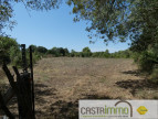 vente Terrain non constructible Castries