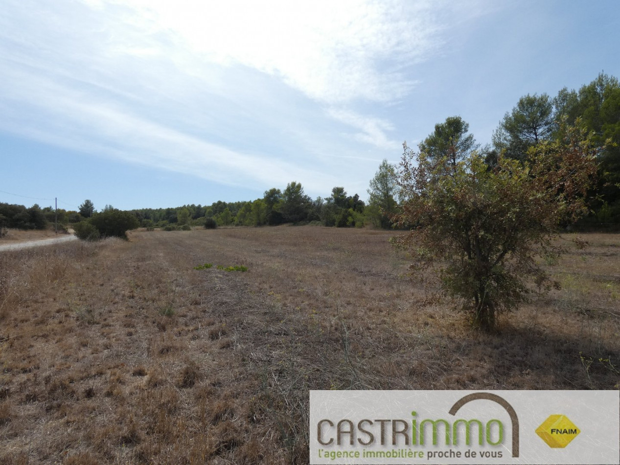 vente Terrain non constructible Castries - Photo 2