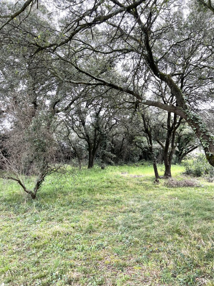 vente Terrain constructible Saint Bres - Photo 2