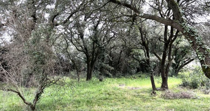 vente Terrain constructible Saint Bres