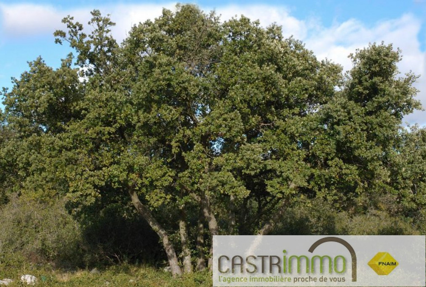 vente Terrain constructible Saint Bres - Photo 3