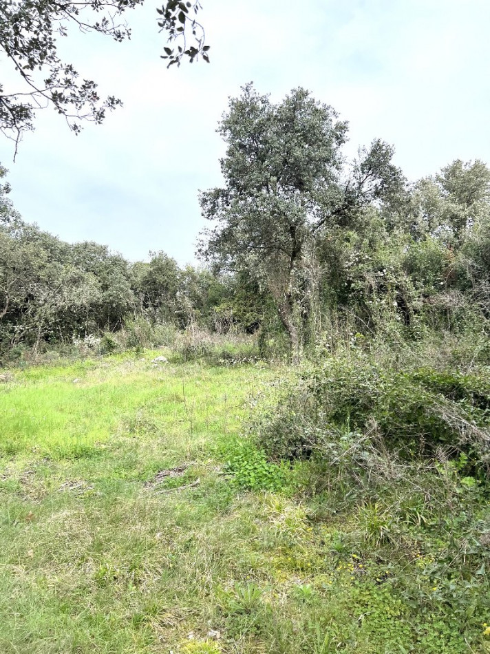 vente Terrain constructible Saint Bres - Photo 1