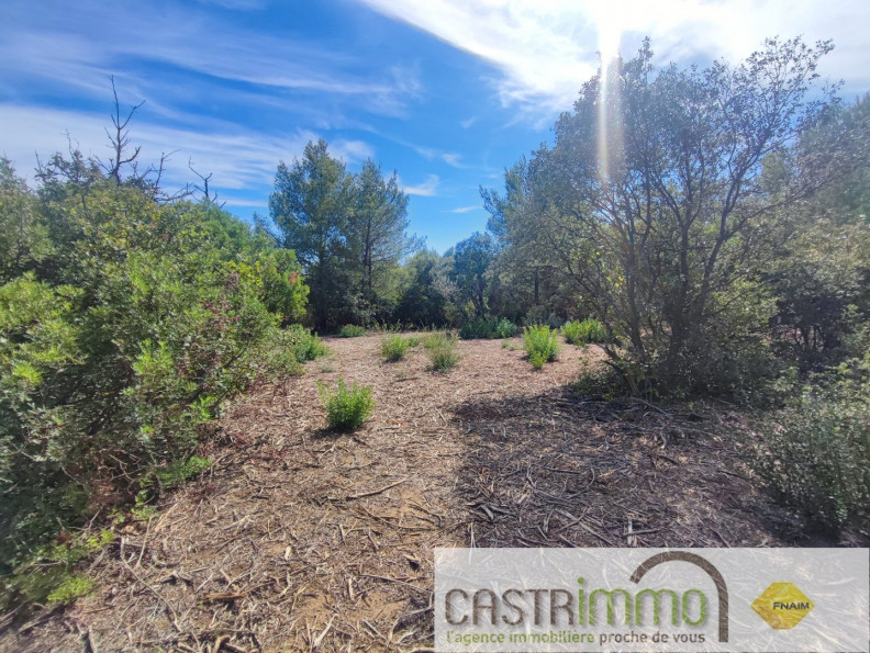 vente Terrain non constructible Castries - Photo 2